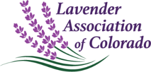 Lavender Association of Colorado
