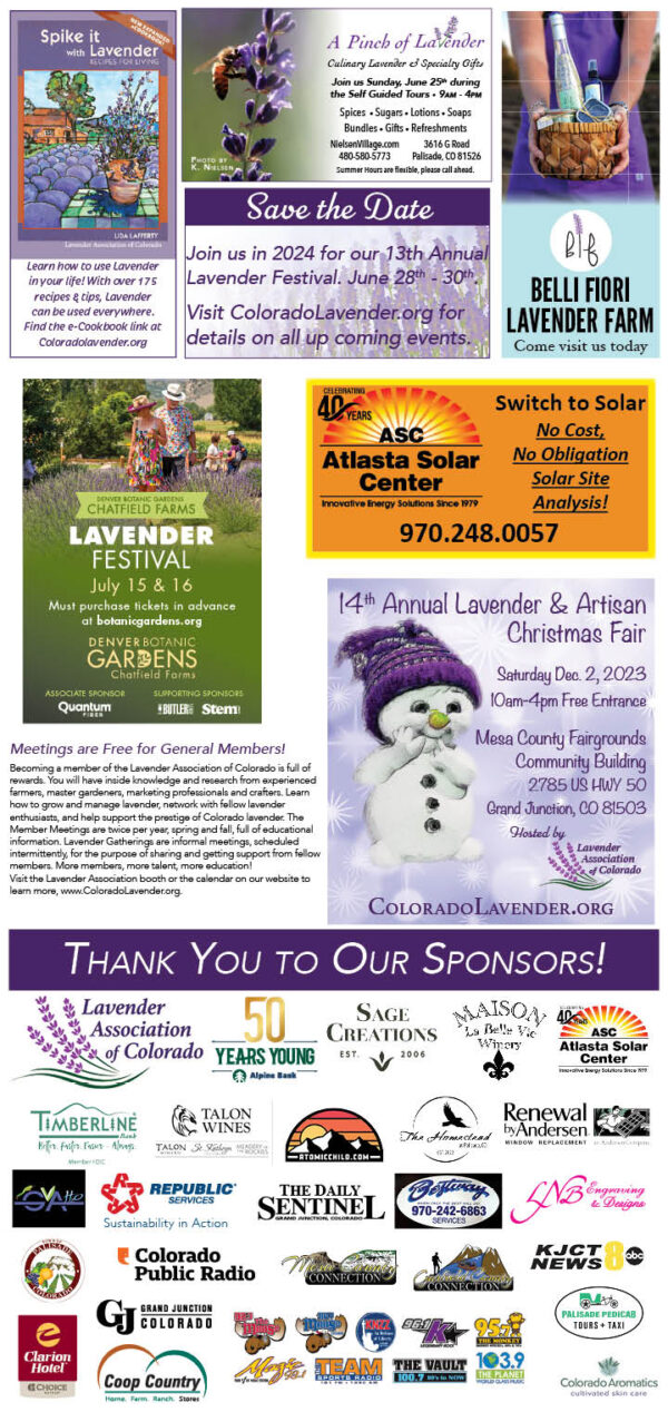 Colorado Lavender Festival: Your 2024 Guide