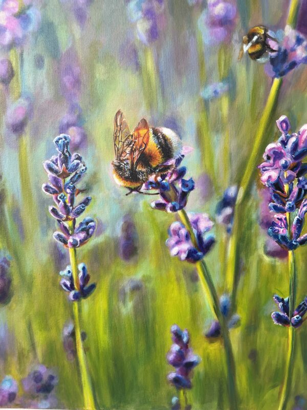 2025 Lavender Festival Poster